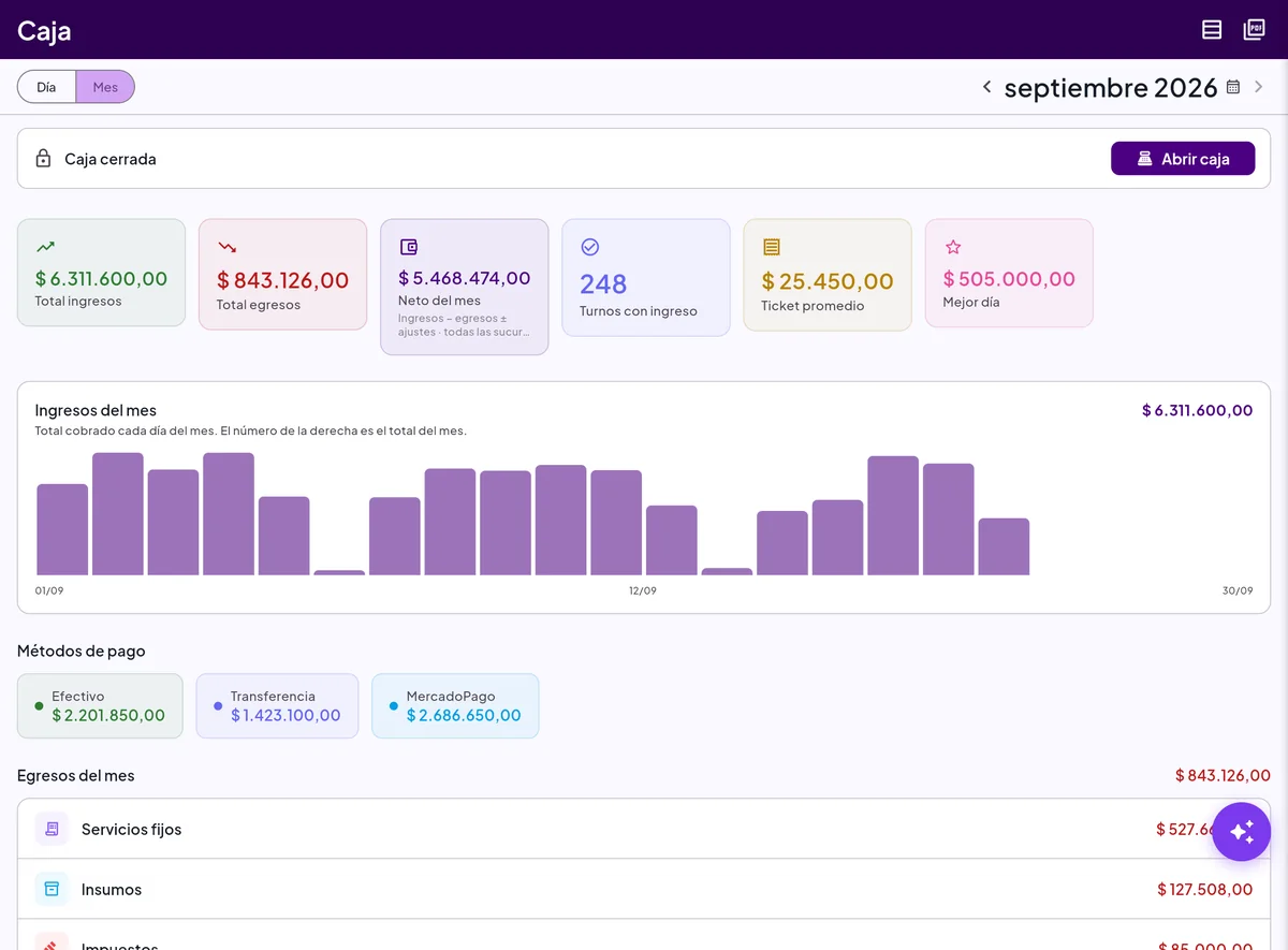 La caja del mes en el panel: ingresos, egresos, neto, turnos con ingreso, ticket promedio, mejor día y el gráfico de cobros por día